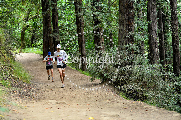 Coastal_RedwoodSummer-156