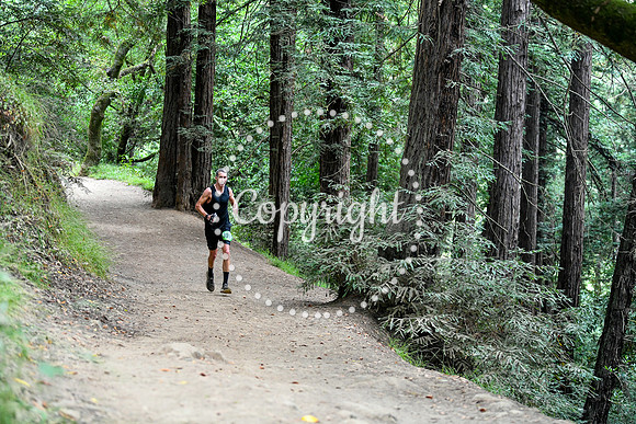 Coastal_RedwoodSummer-137