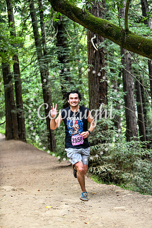 Coastal_RedwoodSummer-162