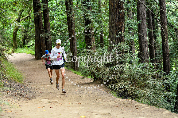 Coastal_RedwoodSummer-155