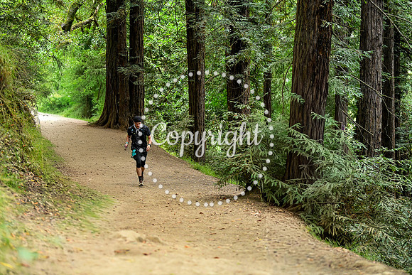 Coastal_RedwoodSummer-026