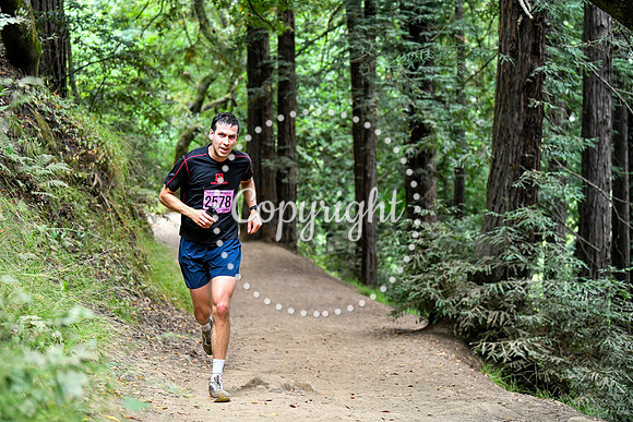 Coastal_RedwoodSummer-138