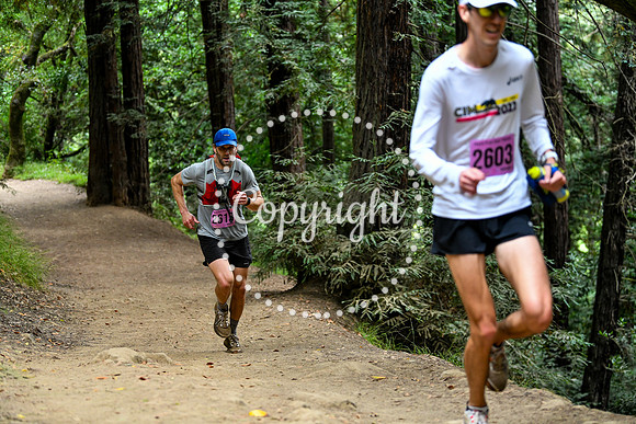 Coastal_RedwoodSummer-149