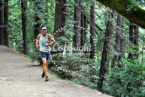 Coastal_RedwoodSummer-099