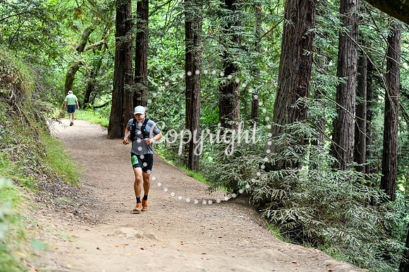 Coastal_RedwoodSummer-127