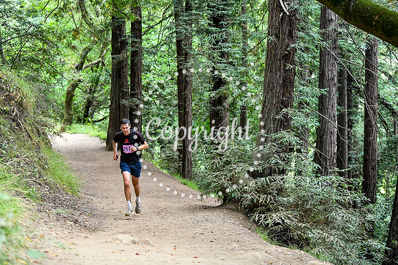 Coastal_RedwoodSummer-141