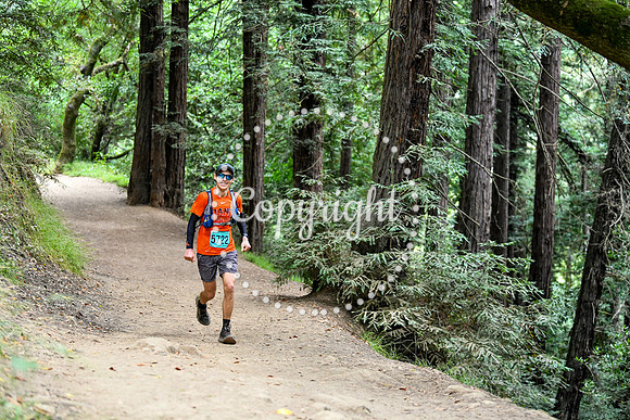 Coastal_RedwoodSummer-104