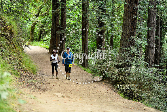 Coastal_RedwoodSummer-031