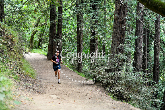 Coastal_RedwoodSummer-142