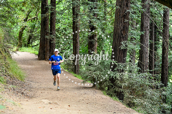 Coastal_RedwoodSummer-146