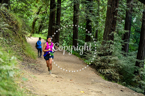 Coastal_RedwoodSummer-116