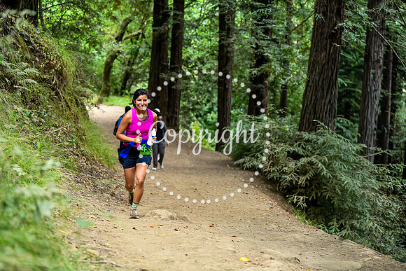 Coastal_RedwoodSummer-113