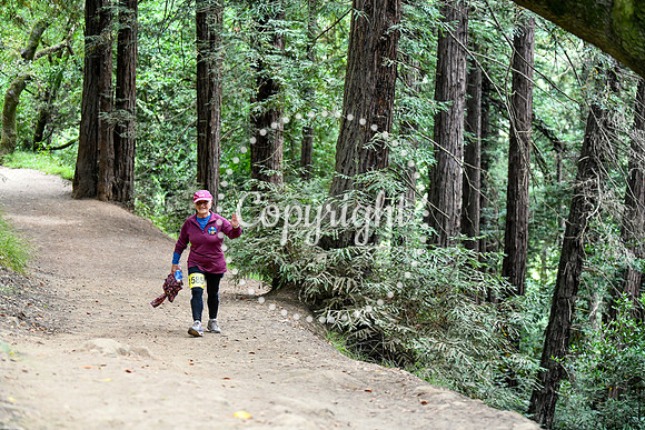 Coastal_RedwoodSummer-130