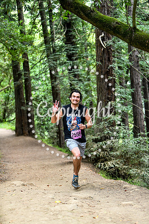 Coastal_RedwoodSummer-163