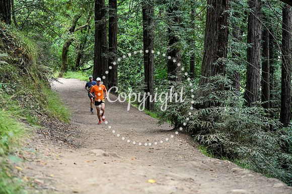 Coastal_RedwoodSummer-096