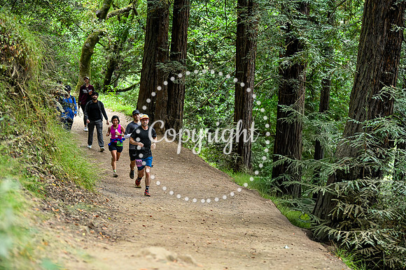 Coastal_RedwoodSummer-125