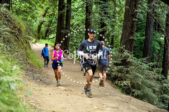 Coastal_RedwoodSummer-117