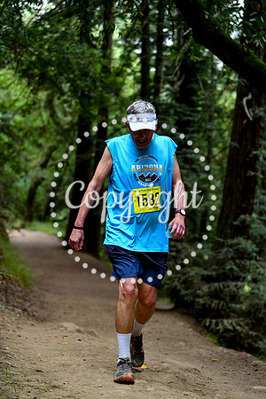 Coastal_RedwoodSummer-157