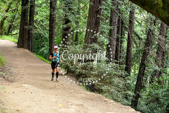Coastal_RedwoodSummer-112