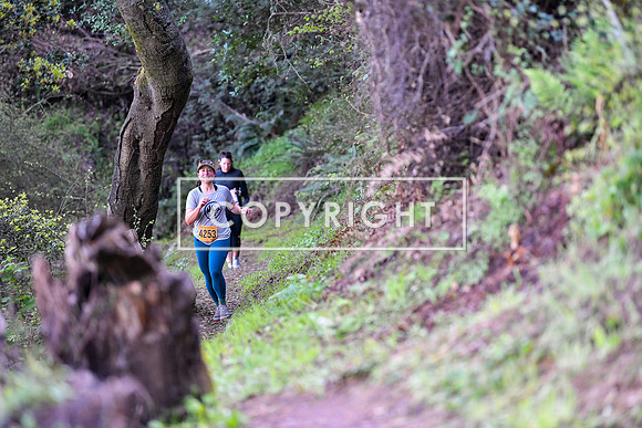 Angel Island-066