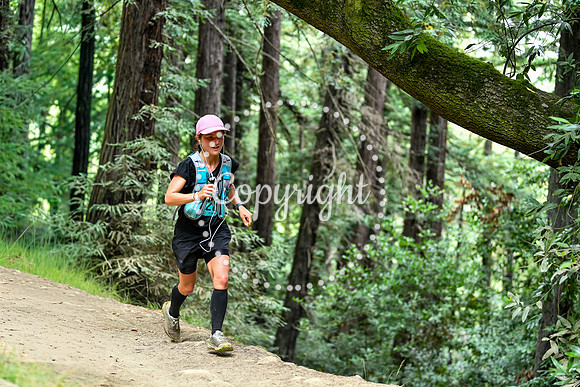 Coastal_RedwoodSummer-110