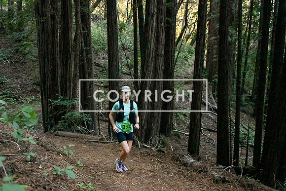 Crystal Springs-0049