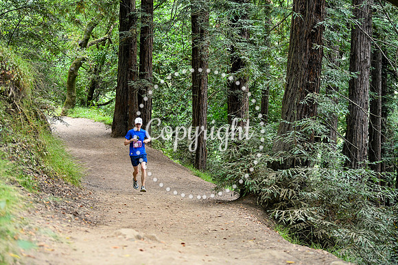 Coastal_RedwoodSummer-147