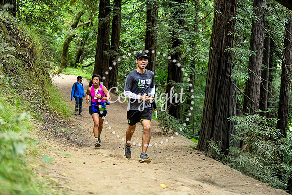 Coastal_RedwoodSummer-119