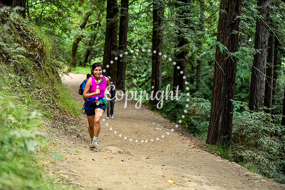 Coastal_RedwoodSummer-114
