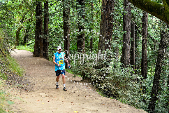 Coastal_RedwoodSummer-161