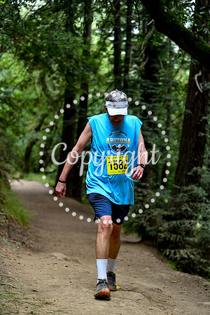 Coastal_RedwoodSummer-158