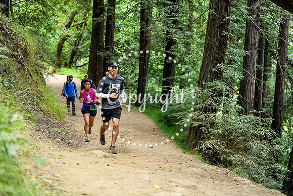 Coastal_RedwoodSummer-120