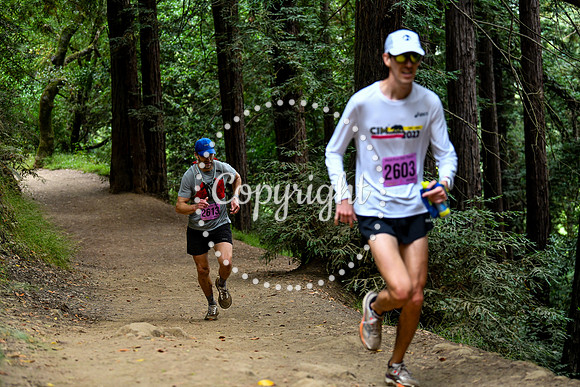 Coastal_RedwoodSummer-150
