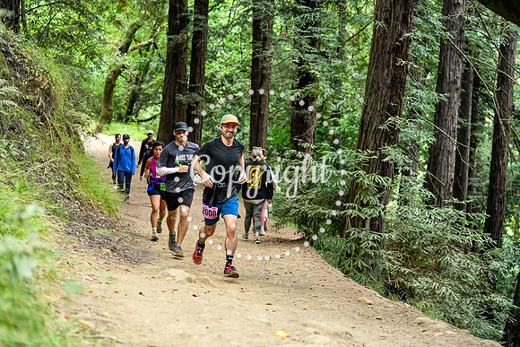 Coastal_RedwoodSummer-123