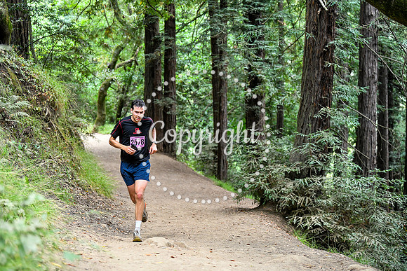 Coastal_RedwoodSummer-139