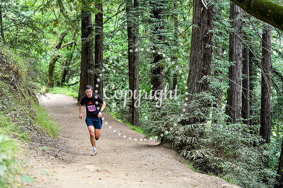 Coastal_RedwoodSummer-140