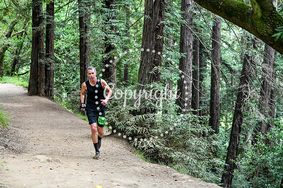 Coastal_RedwoodSummer-134