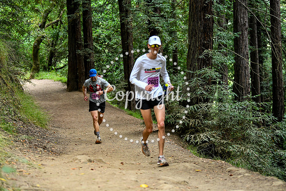 Coastal_RedwoodSummer-151