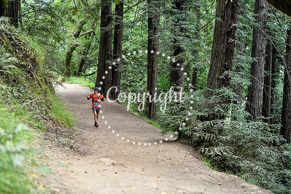 Coastal_RedwoodSummer-109