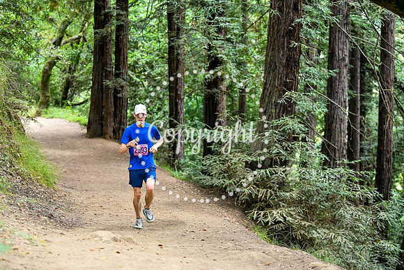 Coastal_RedwoodSummer-144