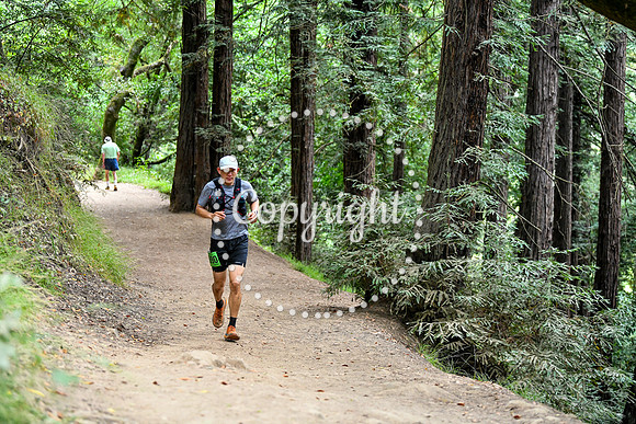Coastal_RedwoodSummer-126