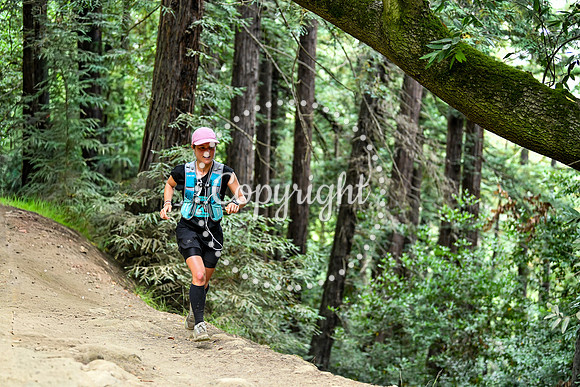 Coastal_RedwoodSummer-111