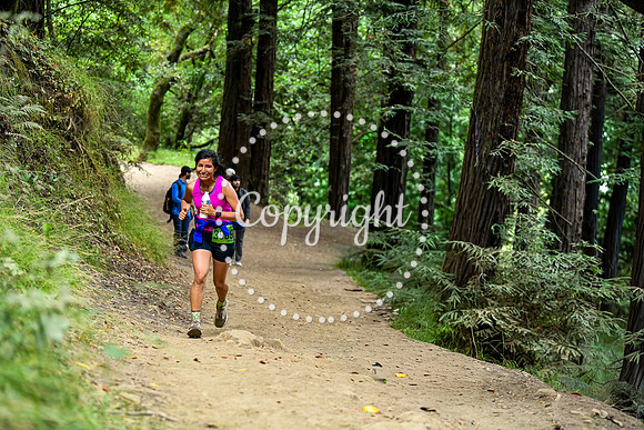 Coastal_RedwoodSummer-115