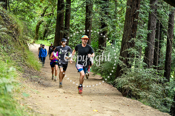 Coastal_RedwoodSummer-122