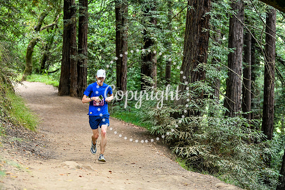 Coastal_RedwoodSummer-143