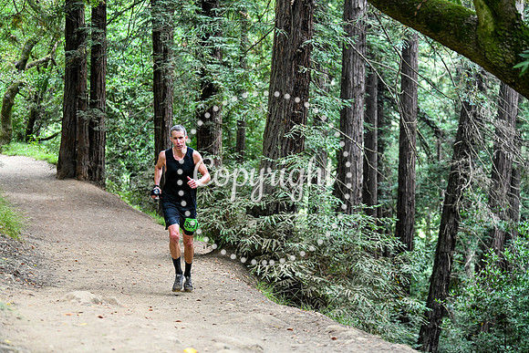 Coastal_RedwoodSummer-135