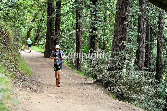 Coastal_RedwoodSummer-129