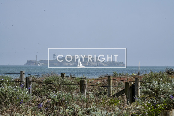 Finishline_ZoomSF-07