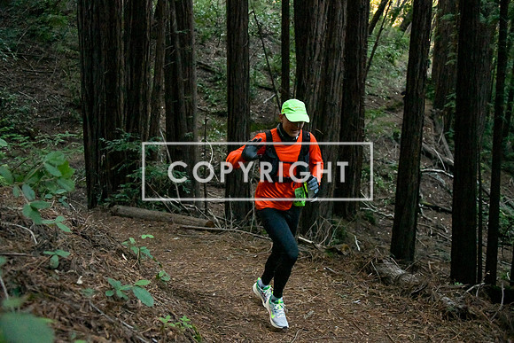Crystal Springs-0062
