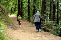 Coastal_RedwoodSummer-010